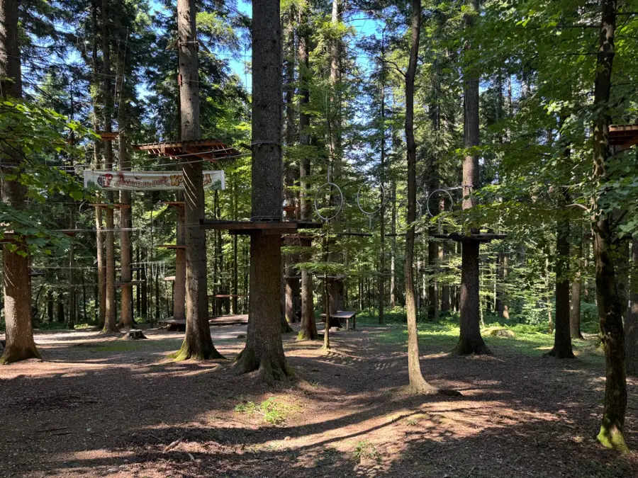 Symbolbild: Hochseilgarten im Wald